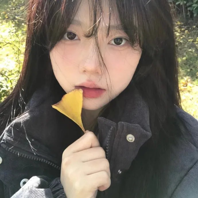 缘来没法挡粤语